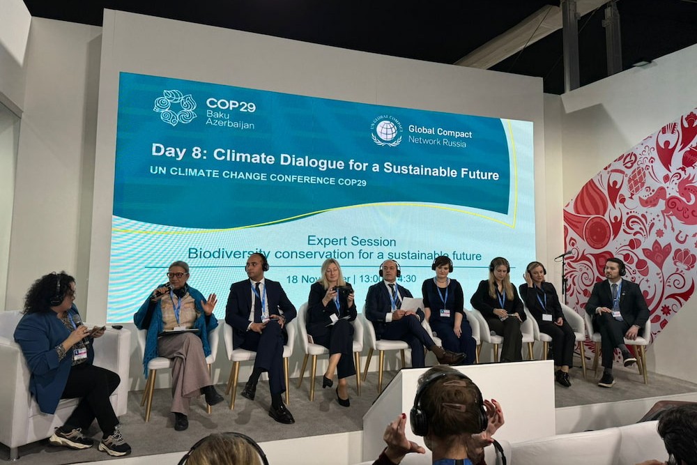 COP29, Баку